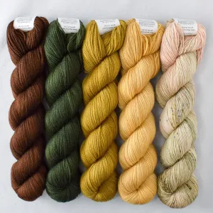 Bittersweet Chocolate, Box Turtle, Nori, Patina, Rosy Finch - Mixed Shawlography Set - Babette