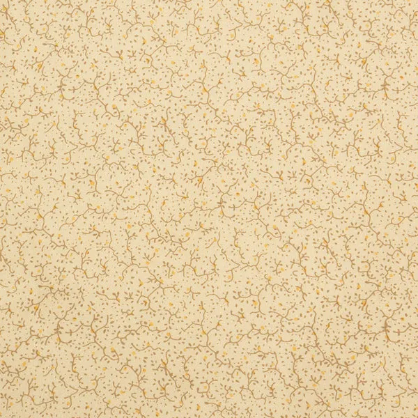 Calico Vine Silk Wild Rag in Beige