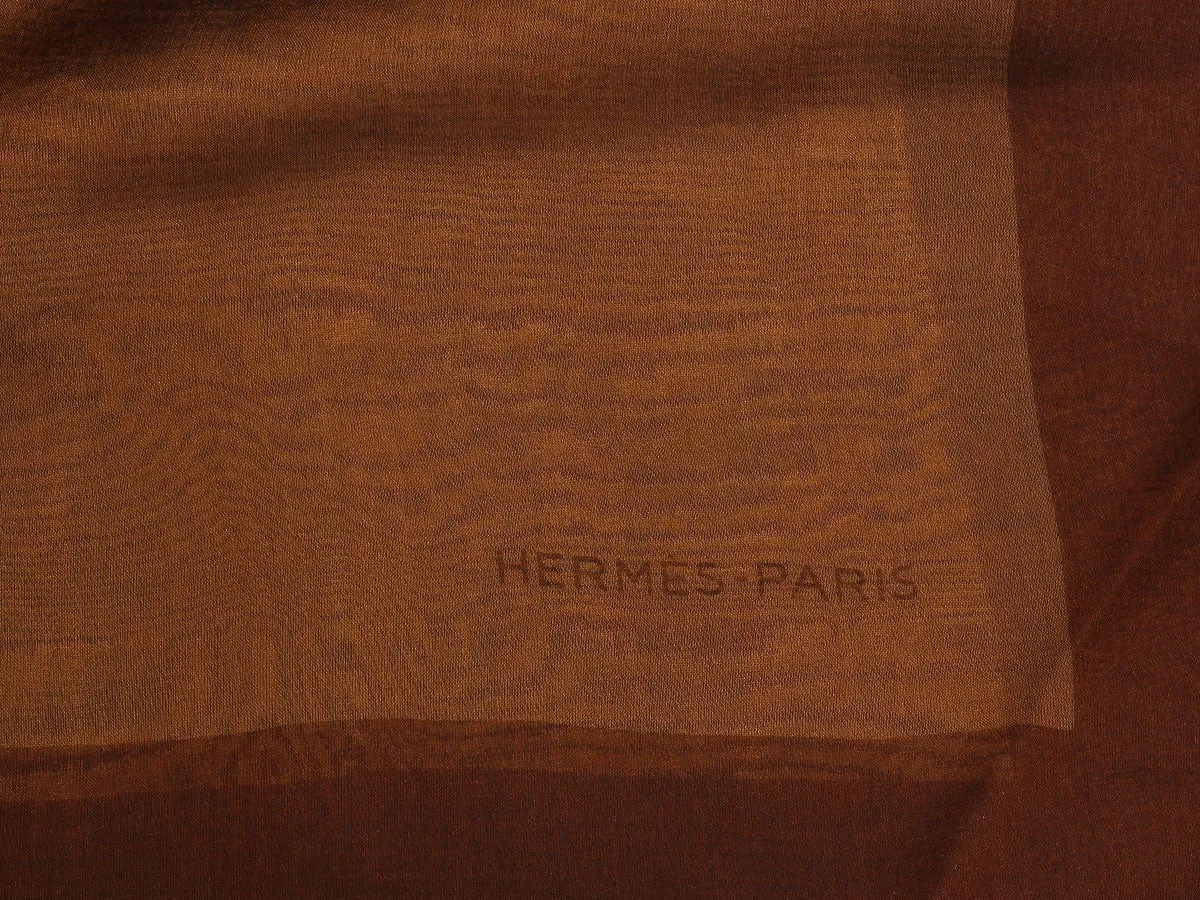 Hermès Brown Chiffon Shawl