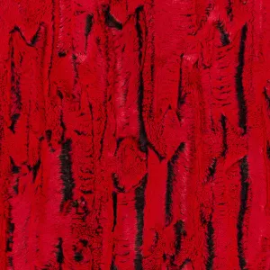 Luxe Cuddle® - Forest Fox Cardinal Minky Yardage